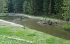 Очистка прудов в Крымске